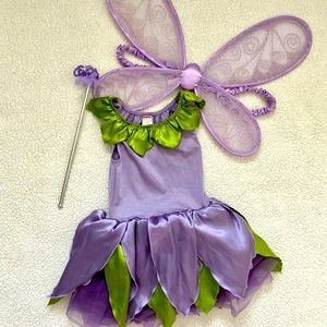 GUC Gymboree fairy costume size 3-4